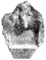 Рис.1. Боспорская терракотовая статуэтка всадника из Мирмекия
