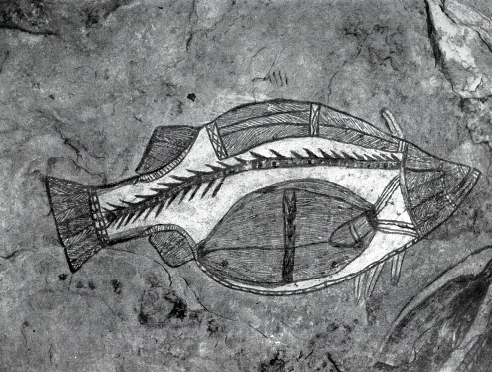  373. Изображение рыбы в стиле «рентгеновских снимков». Австралия, полуостров Арнхемленд. 