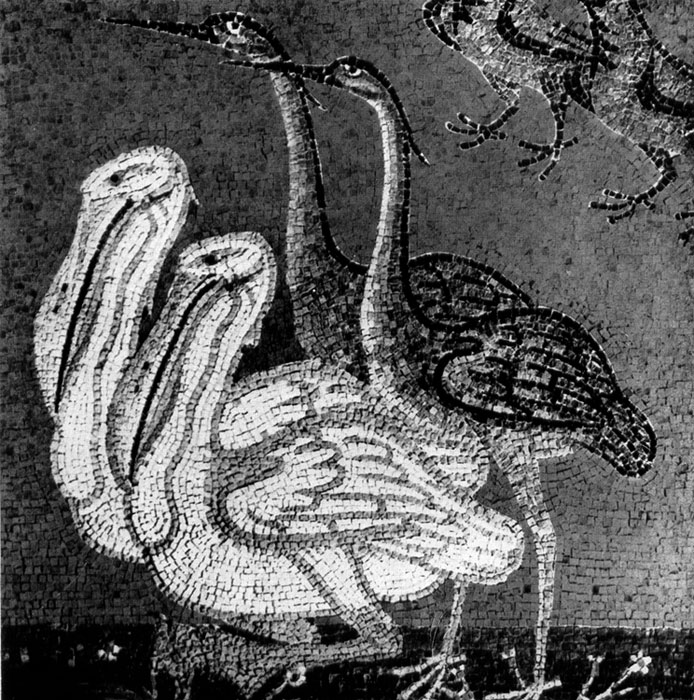  5.    .   .   .  .(Les oiseaux devant 1'arche de Noe. Mosaique. Saint-Marc de Venise. XIHe s.) 