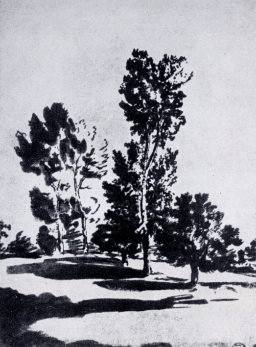 Пуссен. Деревья. Рисунок. Ок. 1635. Париж. Лувр