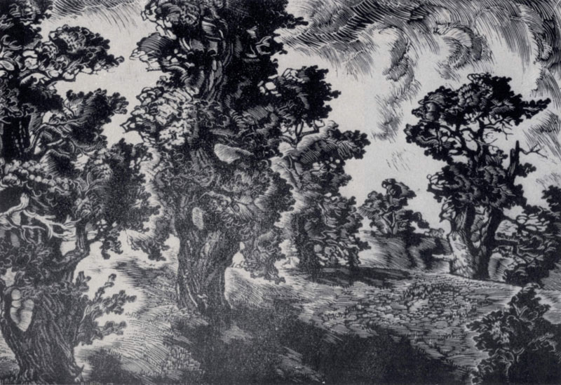 П. А. Упитис. Дубы. Из серии «Гауя». Гравюра на дереве. 1957 г